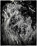 Korrigan - Mati&egrave;res