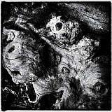 Cr&eacute;atures - Mati&egrave;res