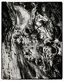 Le veilleur - Mati&egrave;res