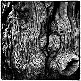 Le Double - Mati&egrave;res