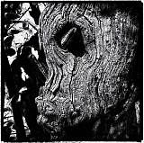 L'oeil du cyclope - Mati&egrave;res