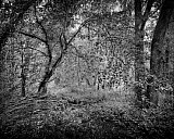 Vall&eacute;e des peintres