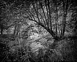 Vall&eacute;e des peintres