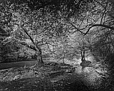 Vall&eacute;e des peintres