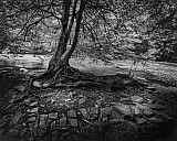 Vall&eacute;e des peintres