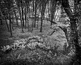 Vall&eacute;e des peintres