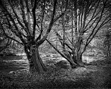 Vall&eacute;e des peintres