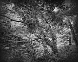 Vall&eacute;e des peintres