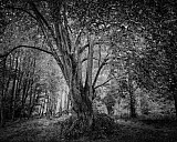 Vall&eacute;e des peintres