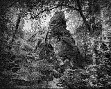 Le Rocher du peintre - Vall&eacute;e des peintres