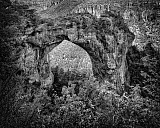 Baousse del Biel - C&eacute;vennes