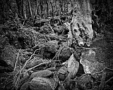 Tartabisac - C&eacute;vennes