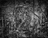 For&ecirc;t des Arcs de ST Pierre - C&eacute;vennes