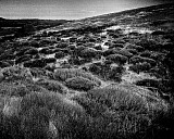 Col de Salid&egrave;s - C&eacute;vennes