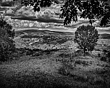 Pr&egrave;s de B&eacute;zuc - C&eacute;vennes