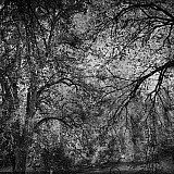 Vall&eacute;e des peintres