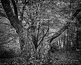 Vall&eacute;e des peintres