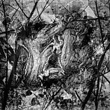 Derri&egrave;re le miroir - Transparences