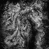 L'antre du Dragon - Arbres