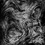 Le cri - Transparences