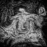 L'angelot des bois - Mati&egrave;res