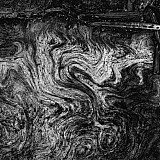 Incandescence - Arbres