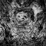 La chouette - Transparences