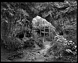 La for&ecirc;t des Arches - Paysages