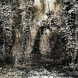 Arches de lierre - Arbres