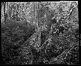 Emergence - Paysages